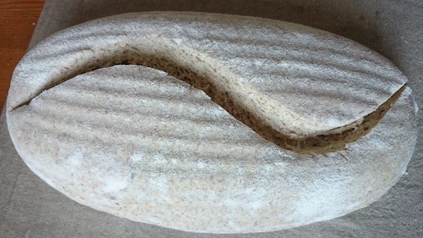 Pâine cu maia crestată înainte de coacere